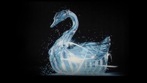 swan